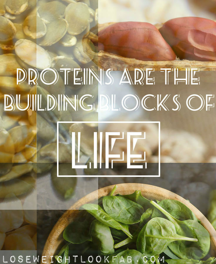 Plants that are a good source of protein